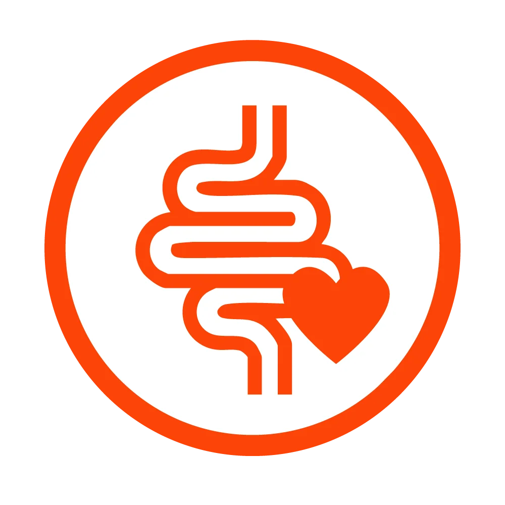 Gut-friendly prebiotic fiber
