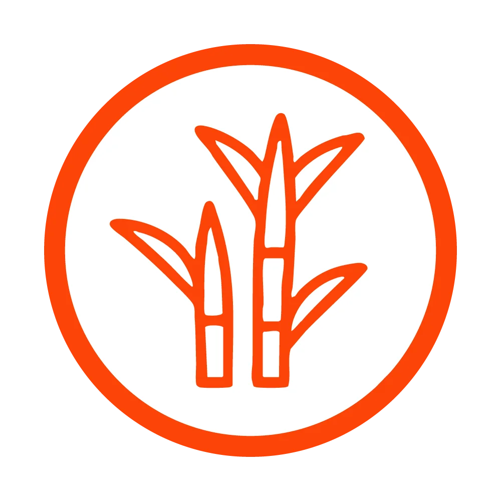 Plant-based ingredient