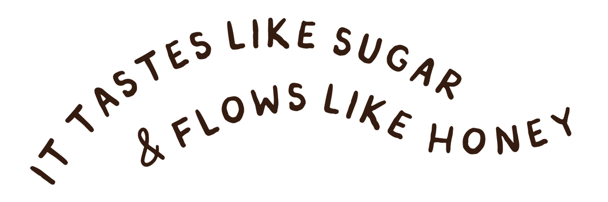 OLILO sweetness sweep — sugar, honey, syrup